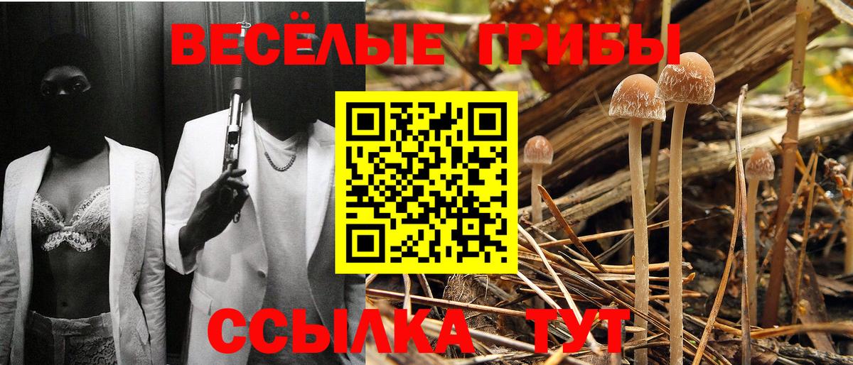 Галлюциногенные грибы MAGIC MUSHROOMS Горячий Ключ